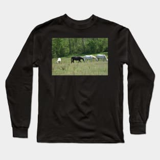 Wild Horse Herd Long Sleeve T-Shirt